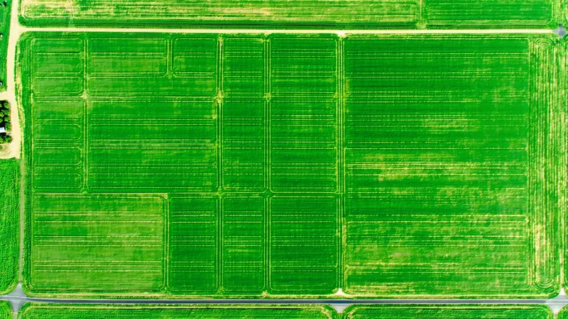 APN-level field polygon delineation — satellite-derived farm boundary map