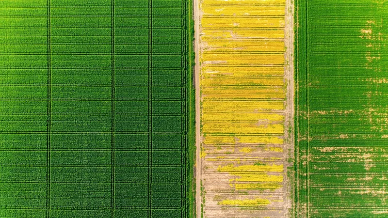 Satellite image resolution comparison — Sentinel-2 vs Landsat side by side crop field