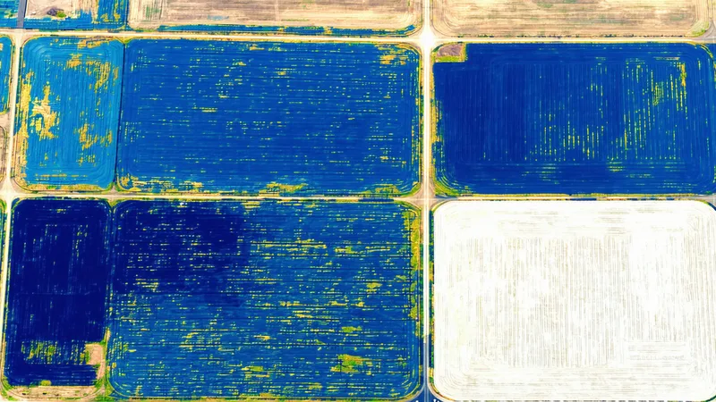 Winter wheat satellite monitoring — radar vs optical sensor comparison