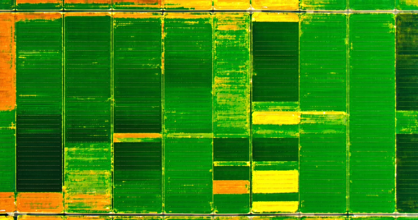 Satellite false-color aerial view of US agricultural field grid showing NDVI contrast between crops