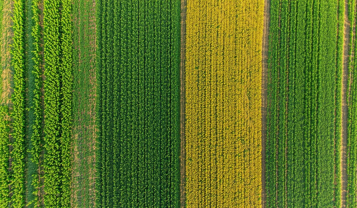 Aerial view of US corn belt patchwork fields from satellite perspective