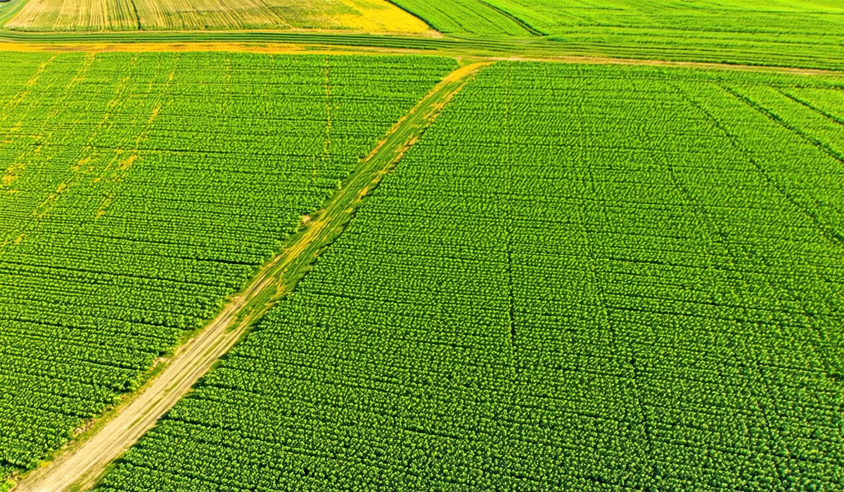 Satellite swath over Iowa Illinois corn belt showing dense agricultural grid